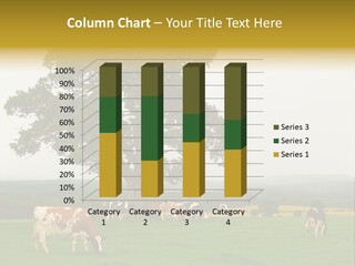 Dairy Cows In Early Morning Mist PowerPoint Template