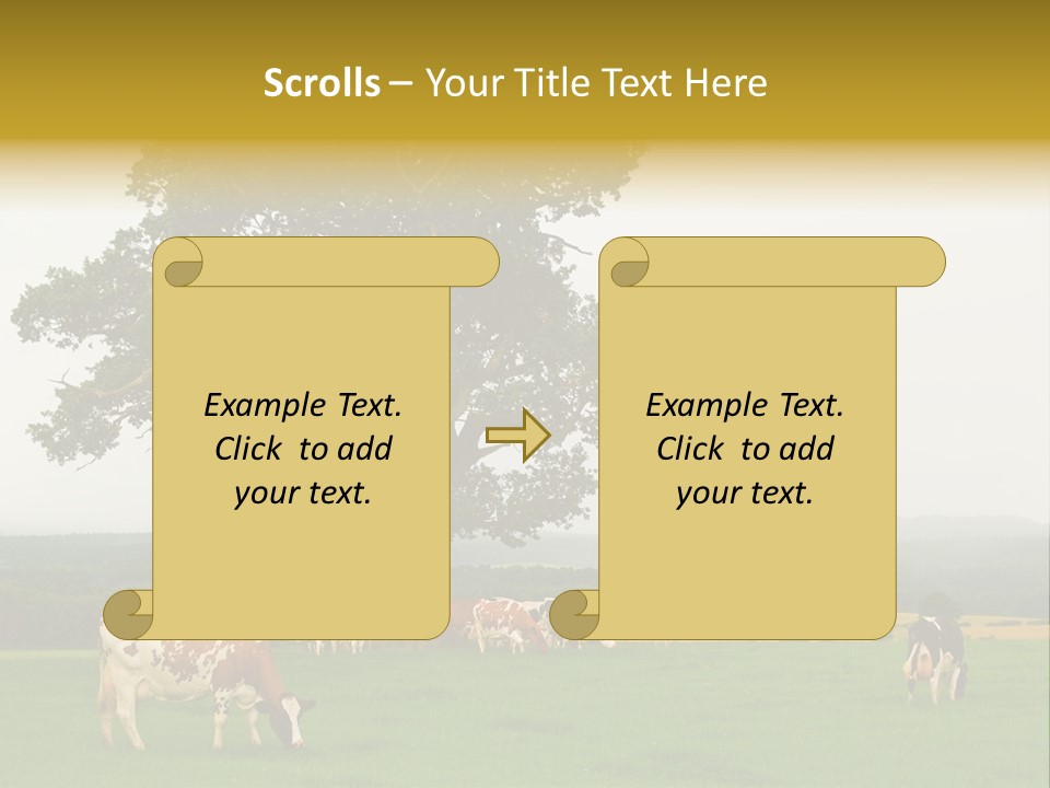 Dairy Cows In Early Morning Mist PowerPoint Template