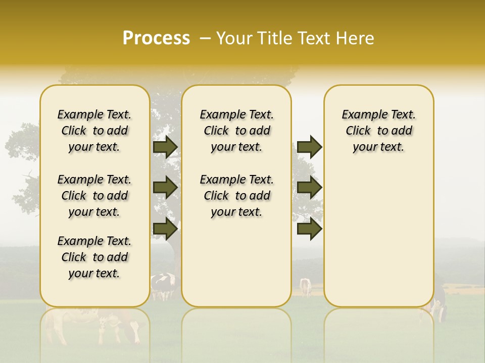Dairy Cows In Early Morning Mist PowerPoint Template