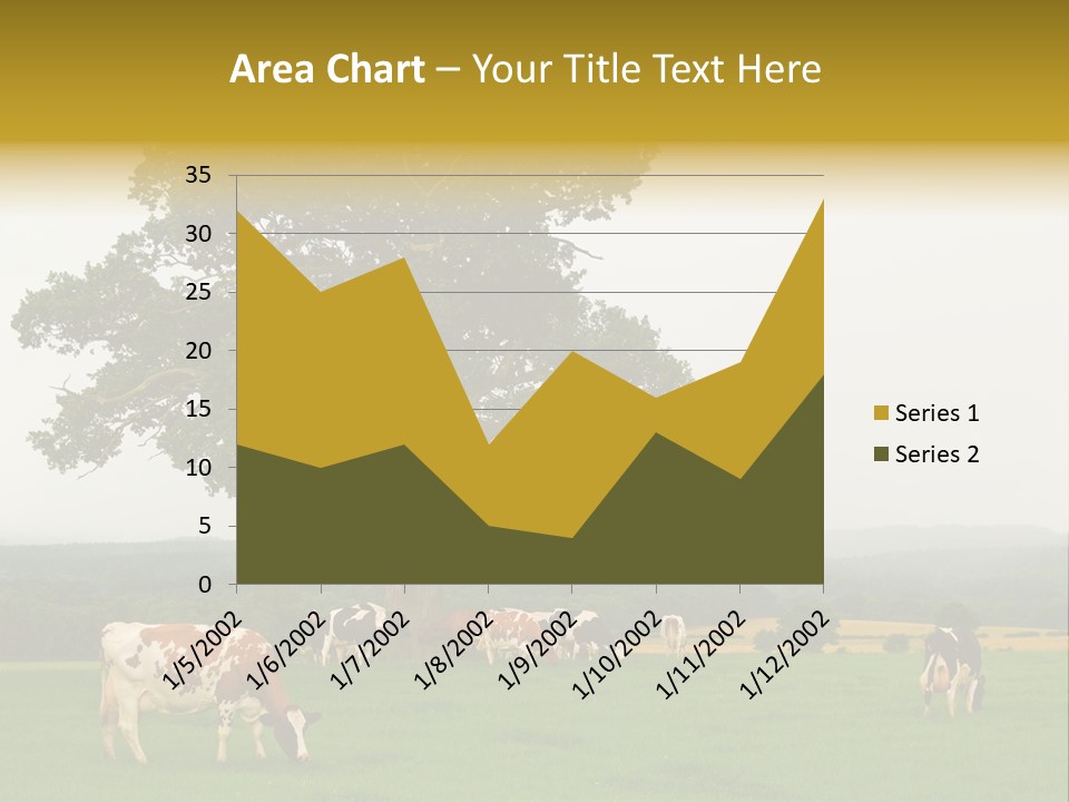 Dairy Cows In Early Morning Mist PowerPoint Template