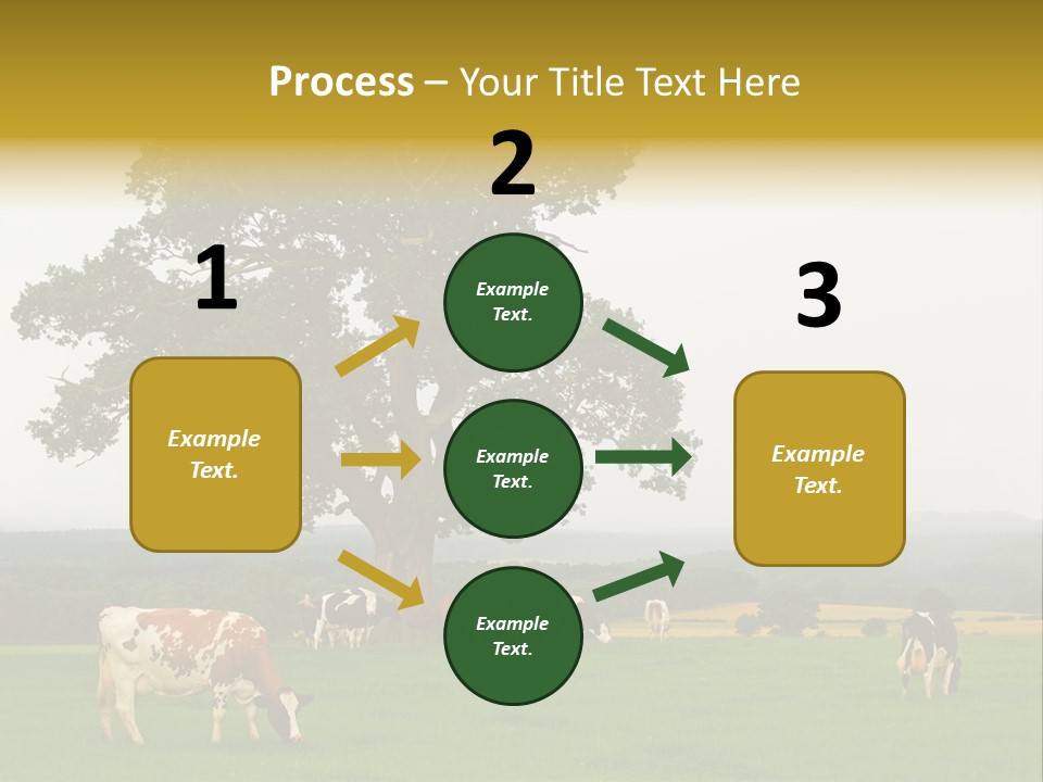 Dairy Cows In Early Morning Mist PowerPoint Template