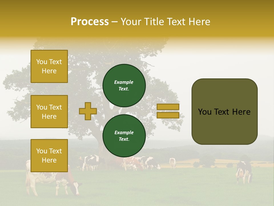 Dairy Cows In Early Morning Mist PowerPoint Template