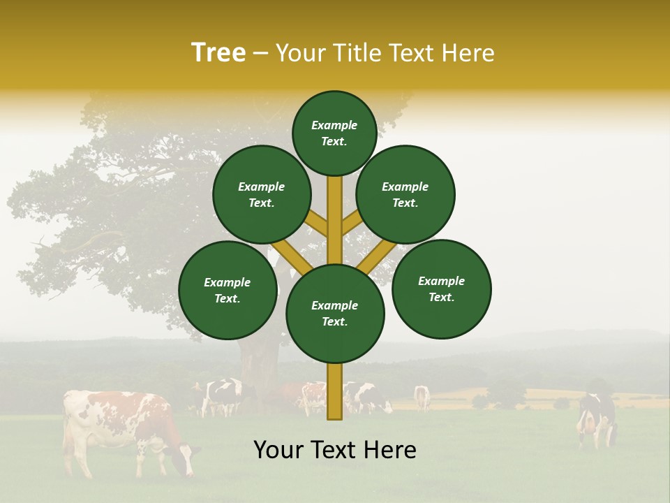 Dairy Cows In Early Morning Mist PowerPoint Template