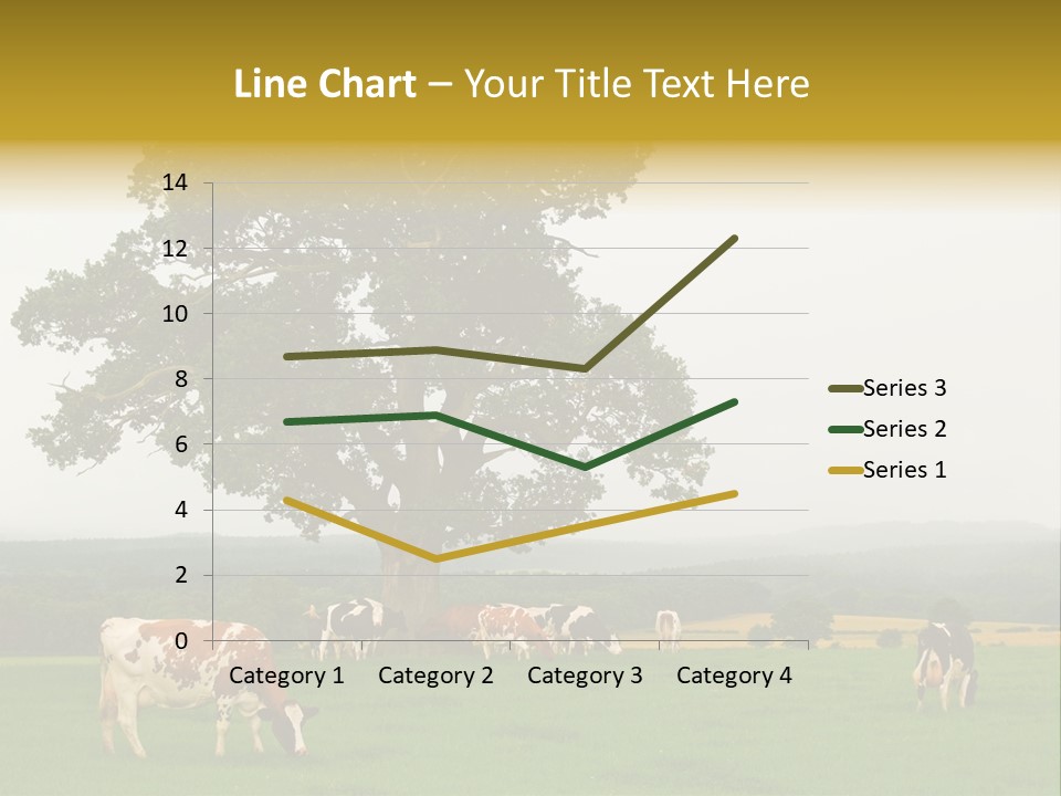 Dairy Cows In Early Morning Mist PowerPoint Template
