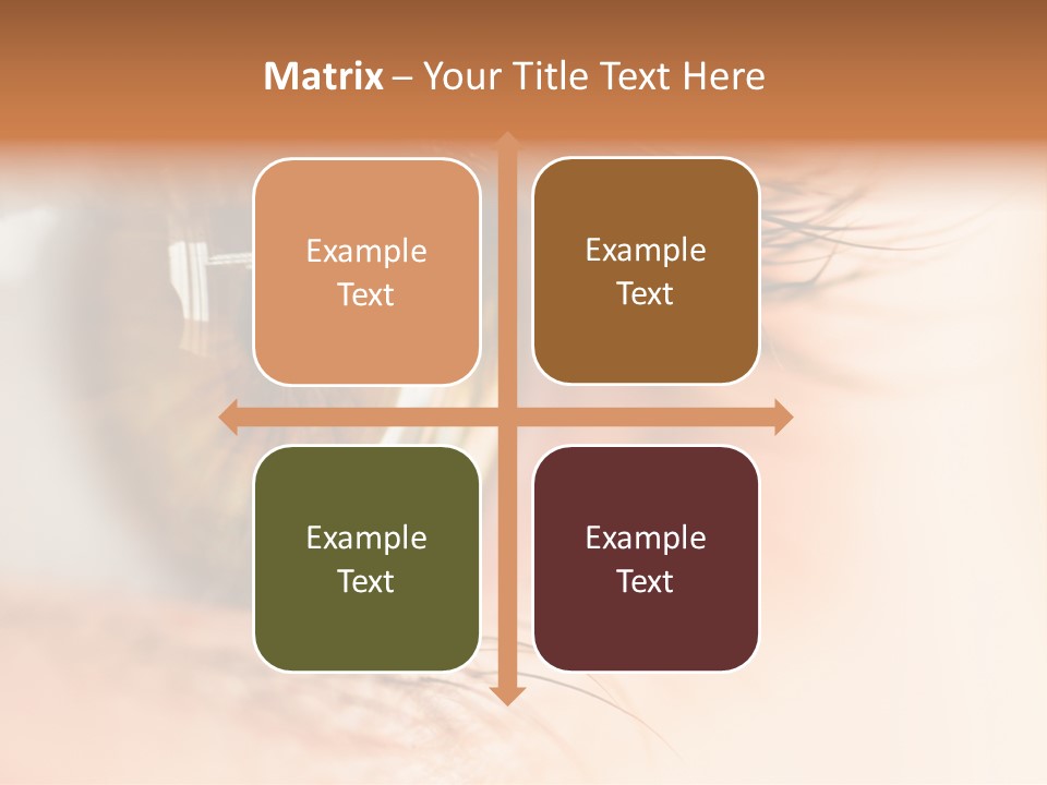 The Macro Image Of The Brown Eye PowerPoint Template