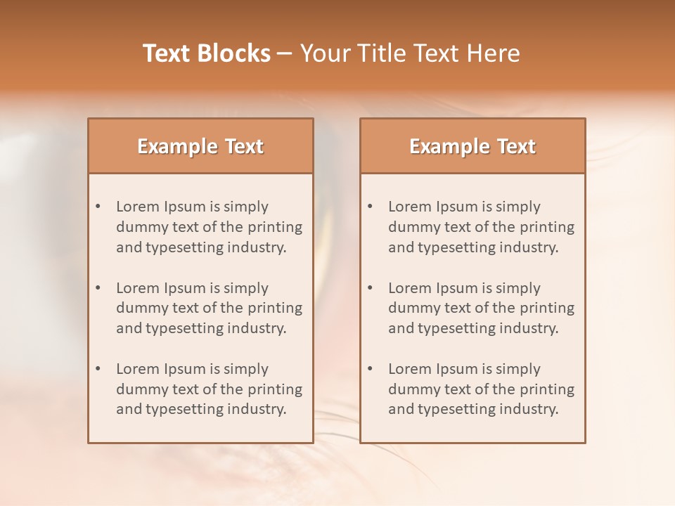 The Macro Image Of The Brown Eye PowerPoint Template