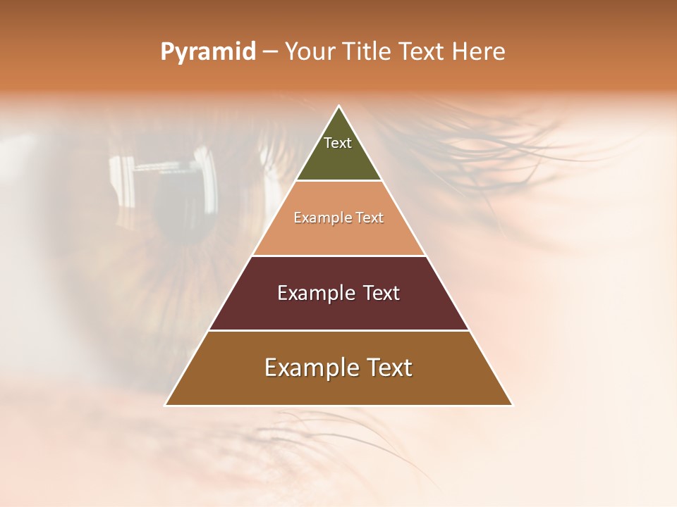The Macro Image Of The Brown Eye PowerPoint Template