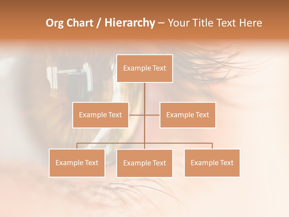 The Macro Image Of The Brown Eye PowerPoint Template