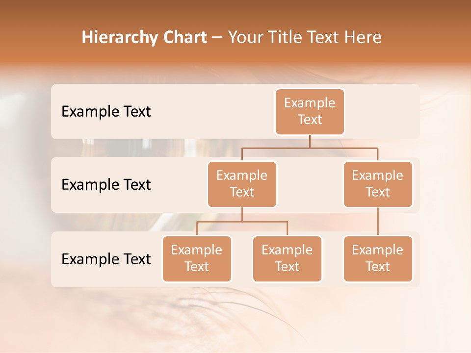 The Macro Image Of The Brown Eye PowerPoint Template