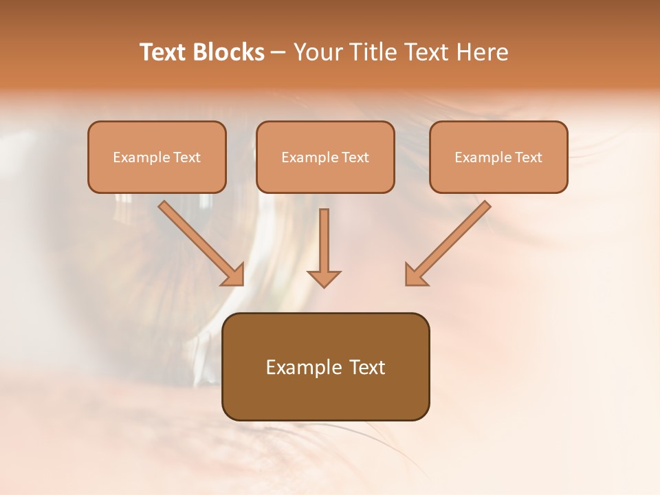 The Macro Image Of The Brown Eye PowerPoint Template