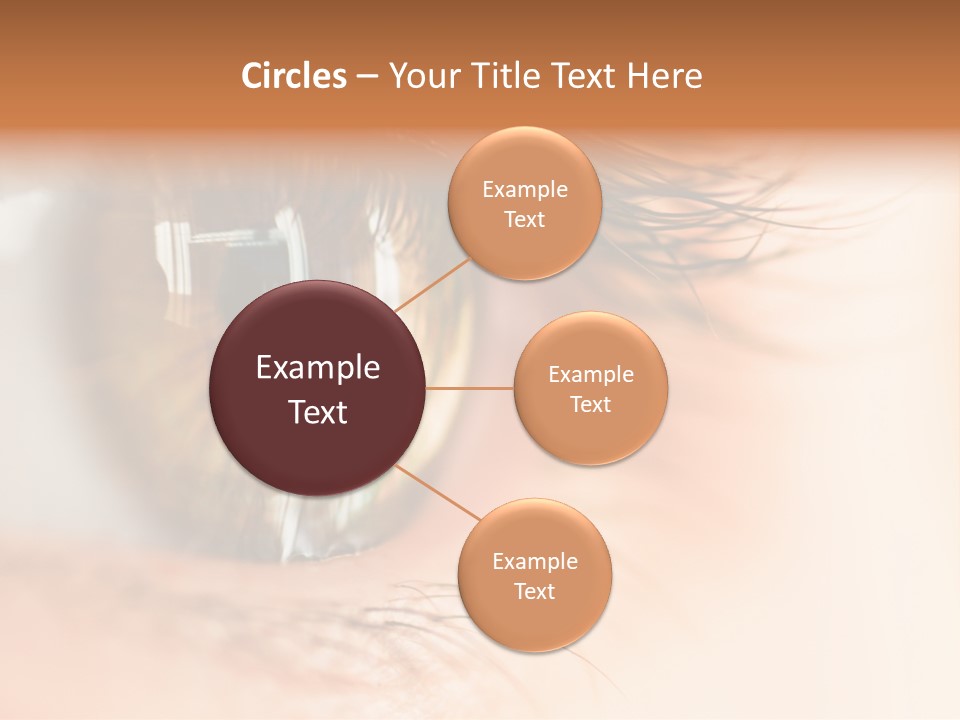 The Macro Image Of The Brown Eye PowerPoint Template