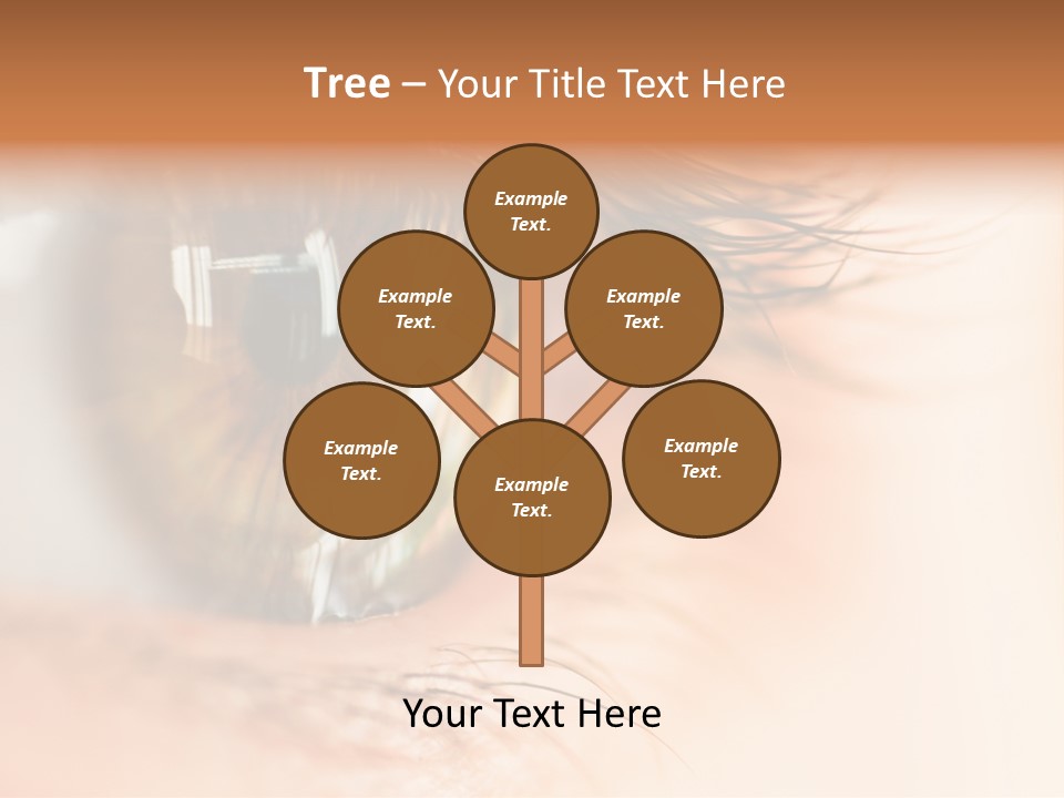 The Macro Image Of The Brown Eye PowerPoint Template