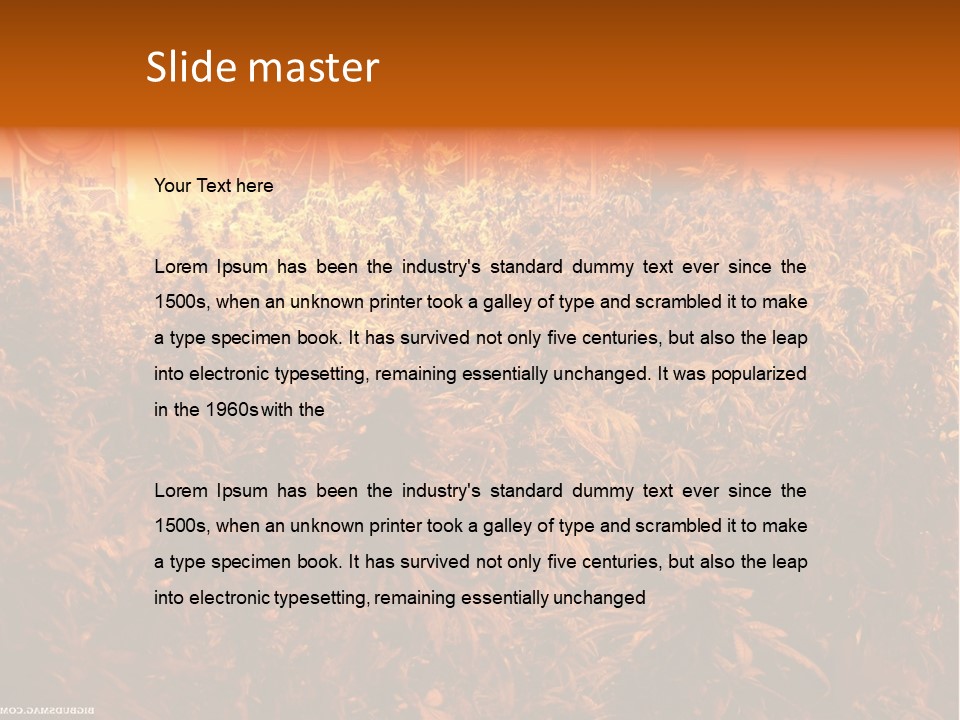 Indoor Hydroponic Medical Cannabis PowerPoint Template