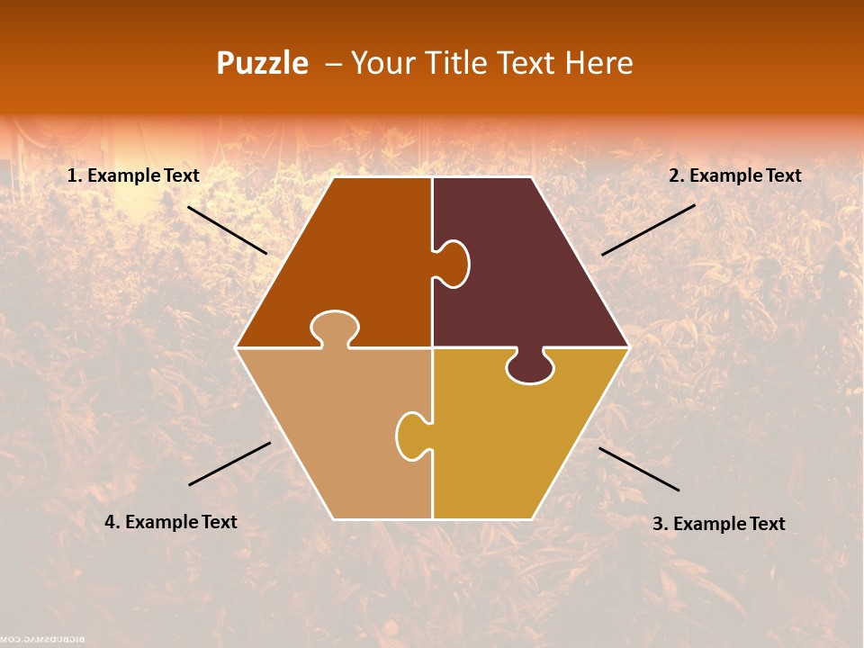 Indoor Hydroponic Medical Cannabis PowerPoint Template