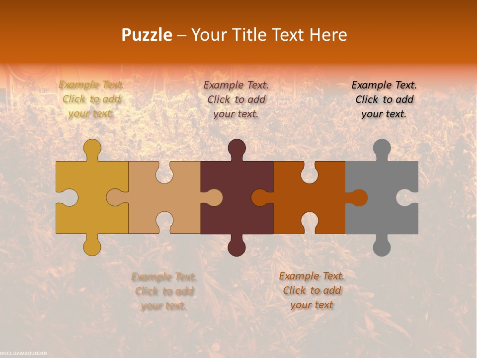 Indoor Hydroponic Medical Cannabis PowerPoint Template