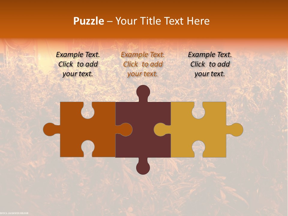 Indoor Hydroponic Medical Cannabis PowerPoint Template