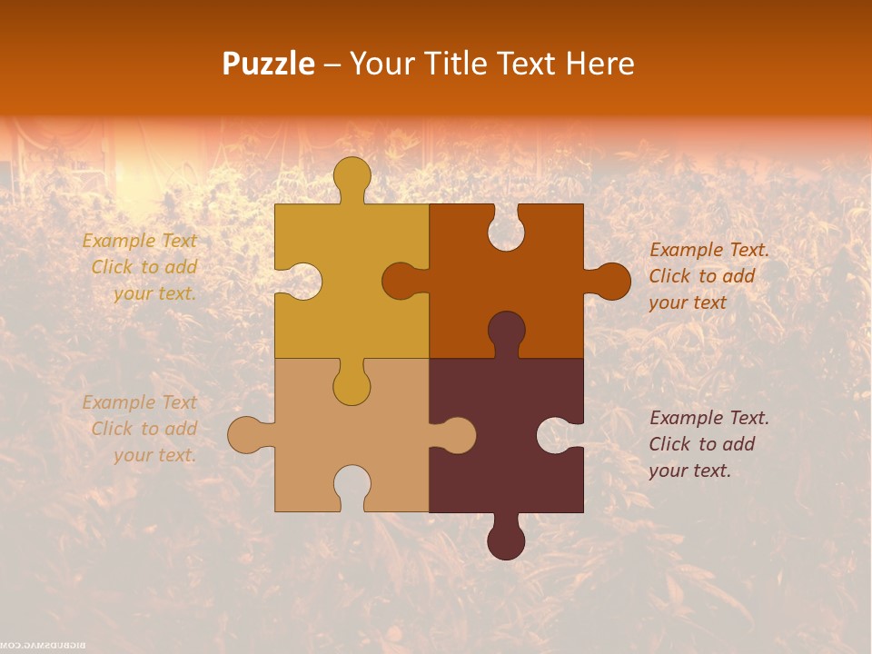 Indoor Hydroponic Medical Cannabis PowerPoint Template