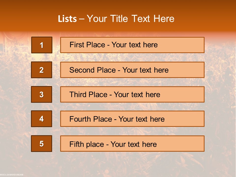 Indoor Hydroponic Medical Cannabis PowerPoint Template