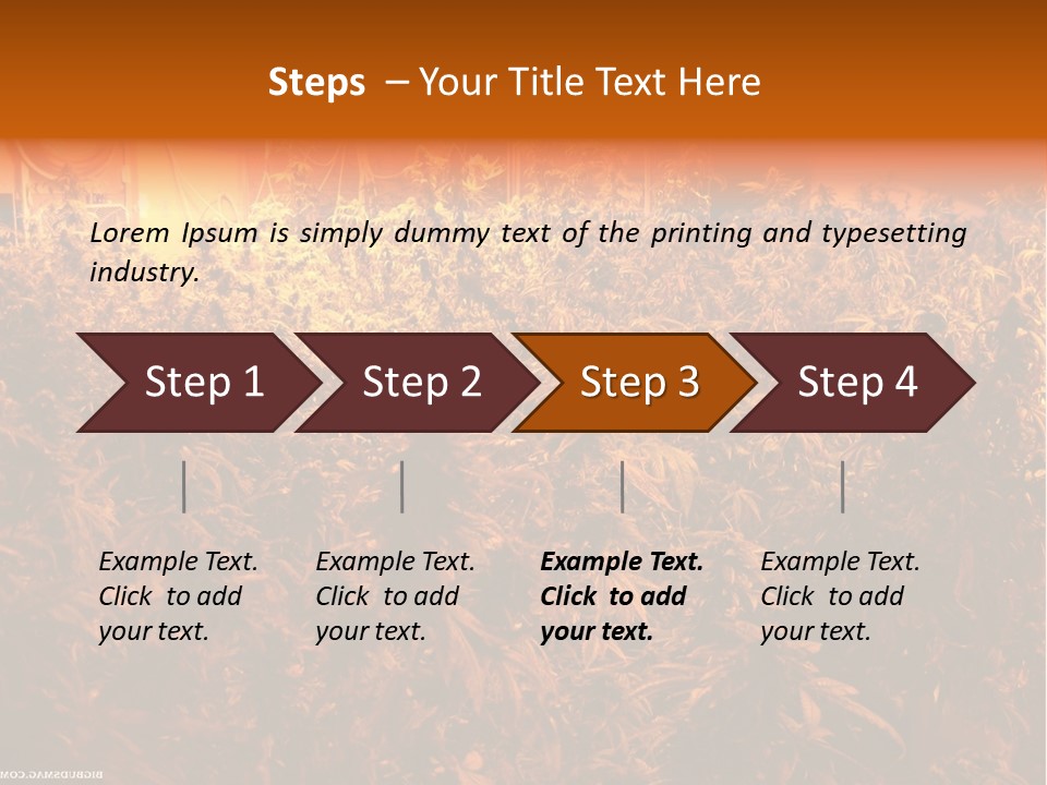 Indoor Hydroponic Medical Cannabis PowerPoint Template