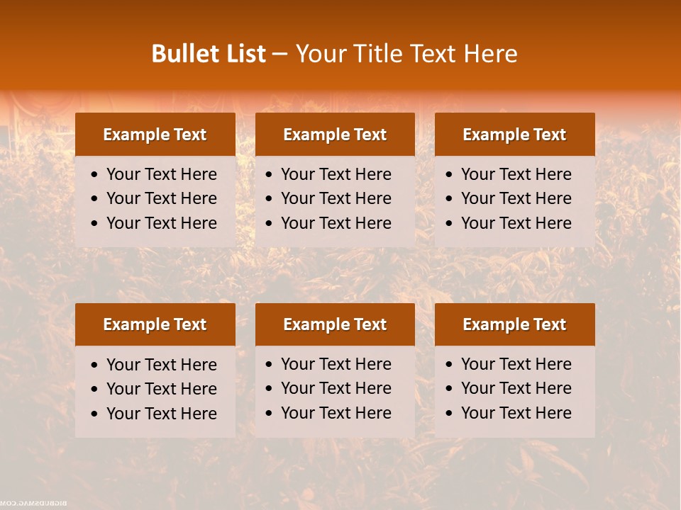 Indoor Hydroponic Medical Cannabis PowerPoint Template
