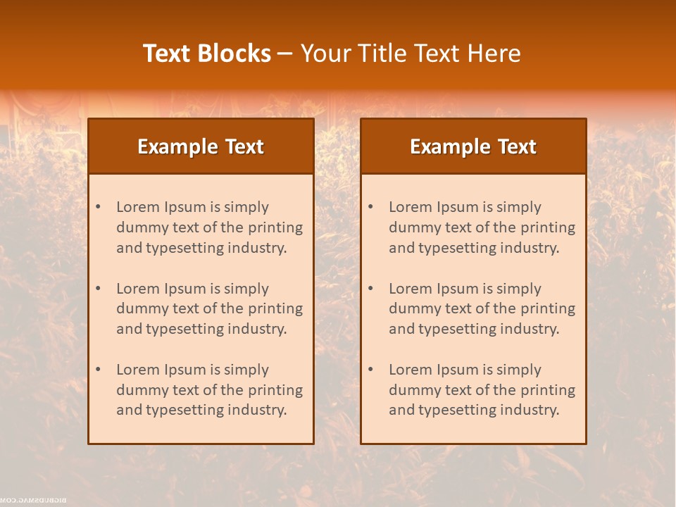 Indoor Hydroponic Medical Cannabis PowerPoint Template