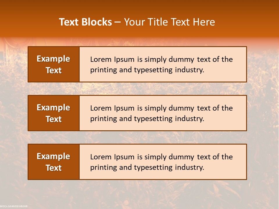 Indoor Hydroponic Medical Cannabis PowerPoint Template