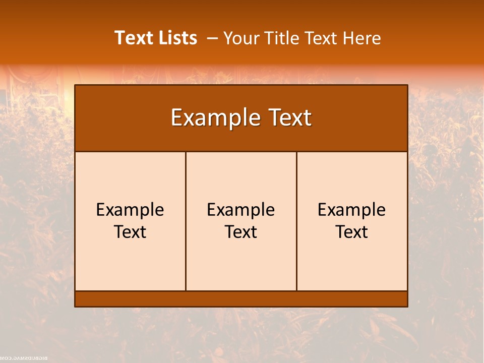 Indoor Hydroponic Medical Cannabis PowerPoint Template