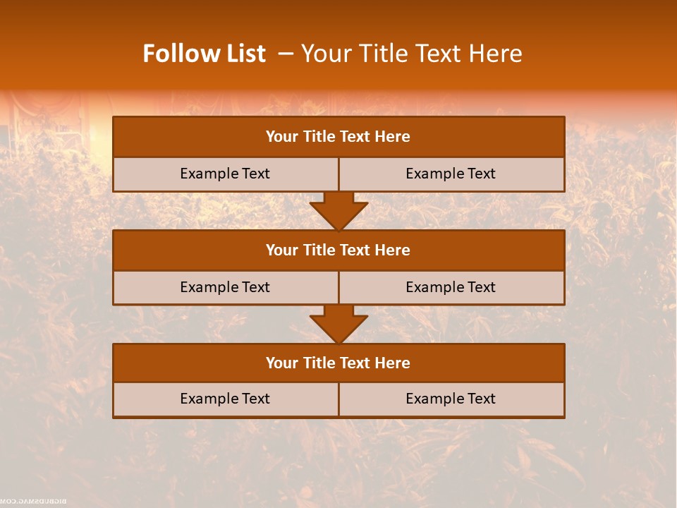 Indoor Hydroponic Medical Cannabis PowerPoint Template