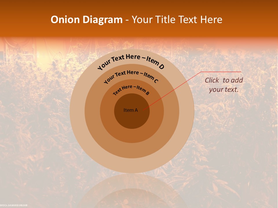 Indoor Hydroponic Medical Cannabis PowerPoint Template