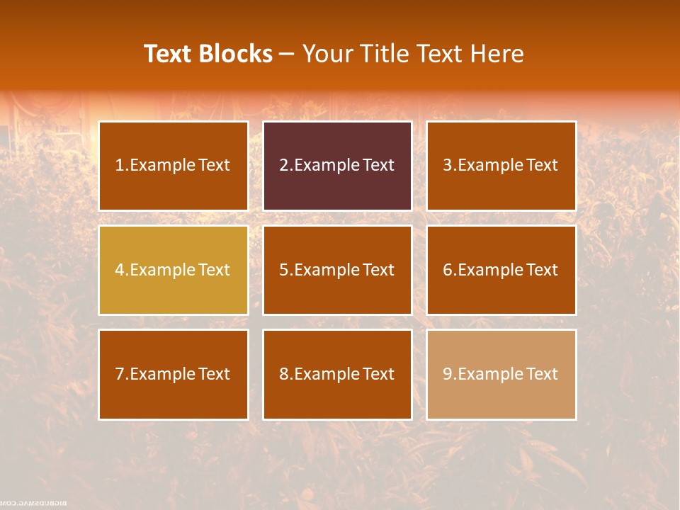 Indoor Hydroponic Medical Cannabis PowerPoint Template