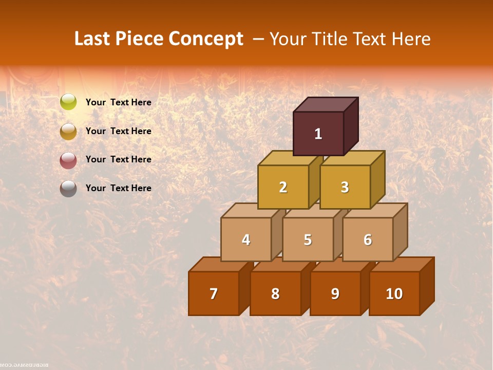 Indoor Hydroponic Medical Cannabis PowerPoint Template