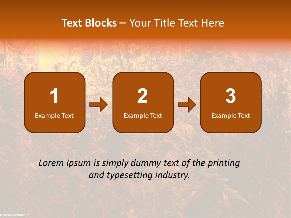 Indoor Hydroponic Medical Cannabis PowerPoint Template