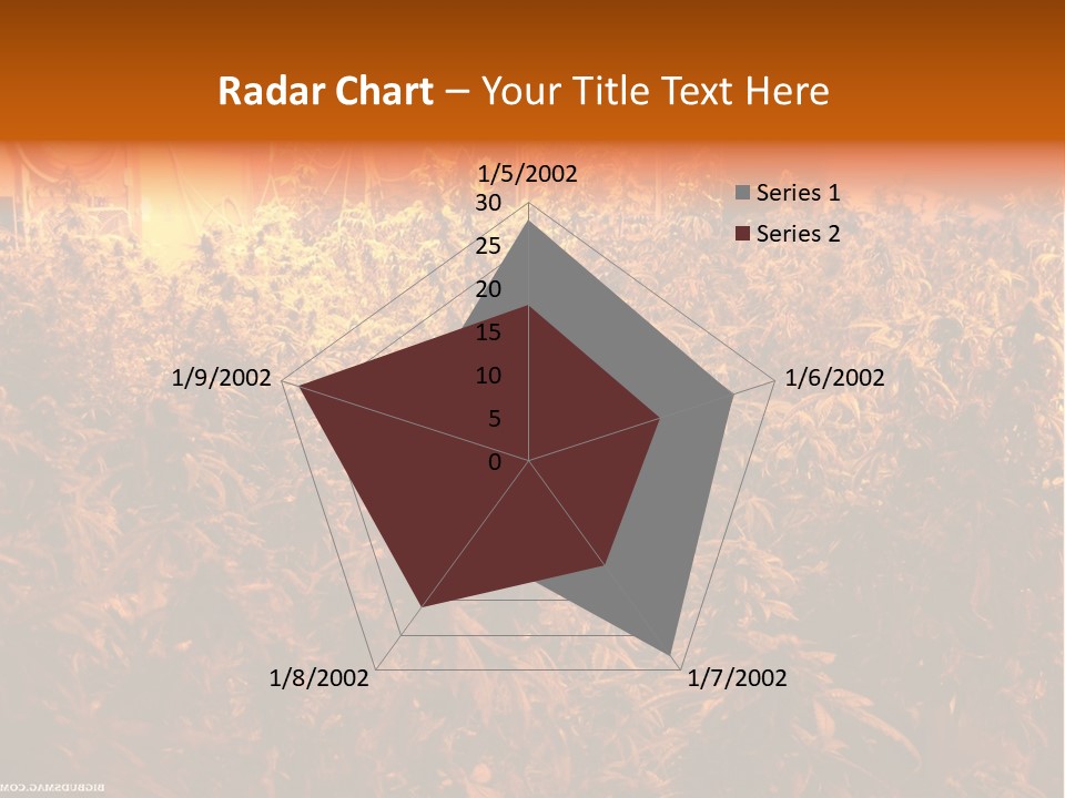 Indoor Hydroponic Medical Cannabis PowerPoint Template