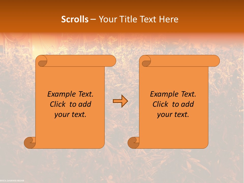 Indoor Hydroponic Medical Cannabis PowerPoint Template