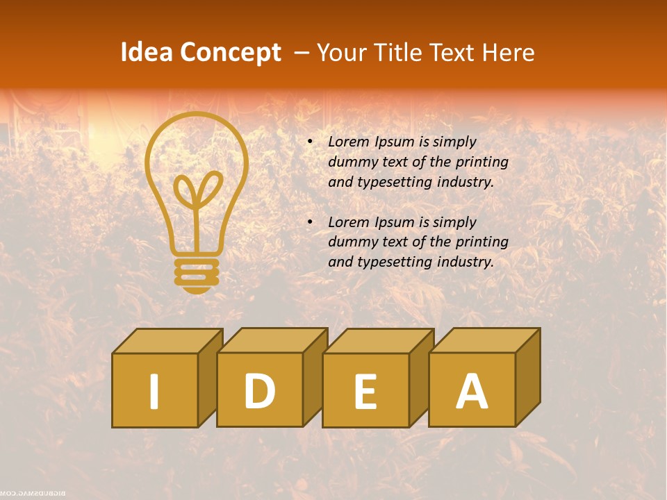 Indoor Hydroponic Medical Cannabis PowerPoint Template
