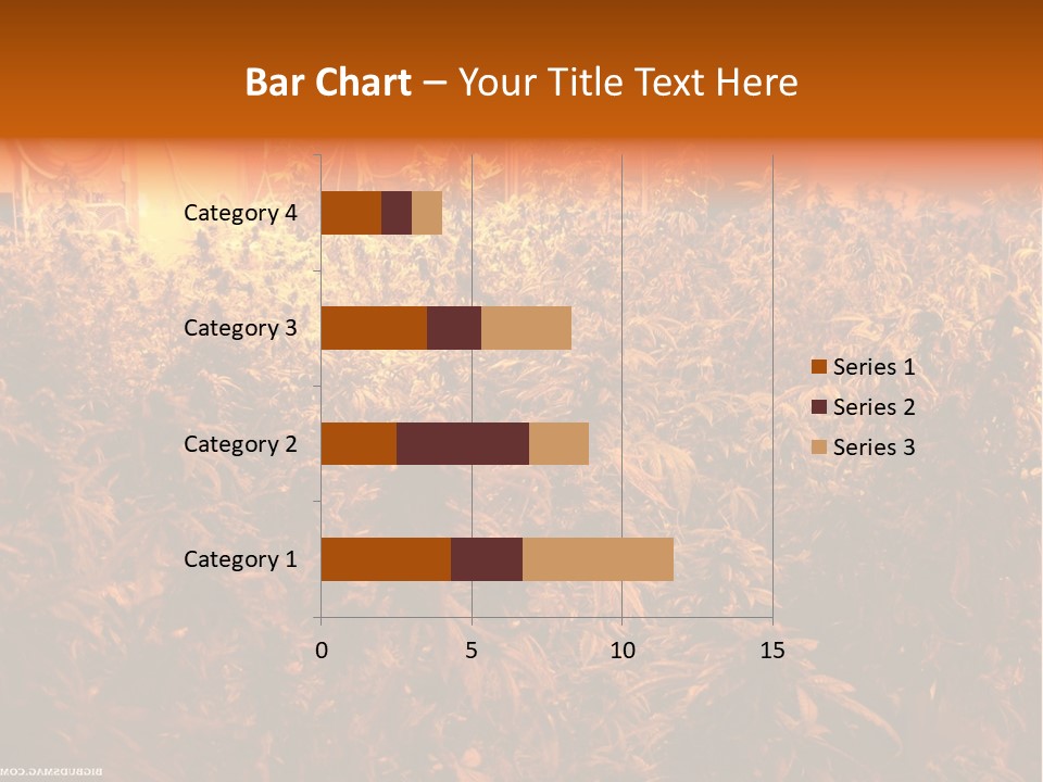 Indoor Hydroponic Medical Cannabis PowerPoint Template