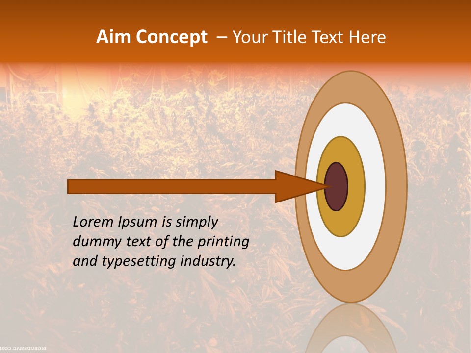 Indoor Hydroponic Medical Cannabis PowerPoint Template