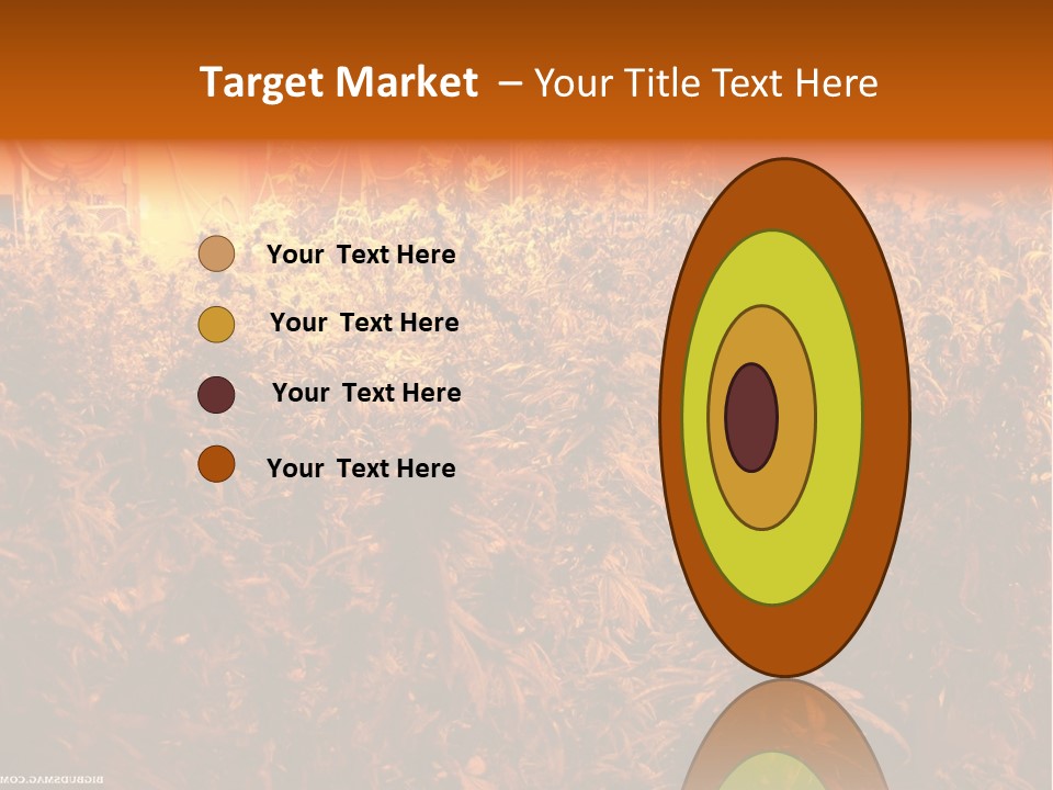 Indoor Hydroponic Medical Cannabis PowerPoint Template