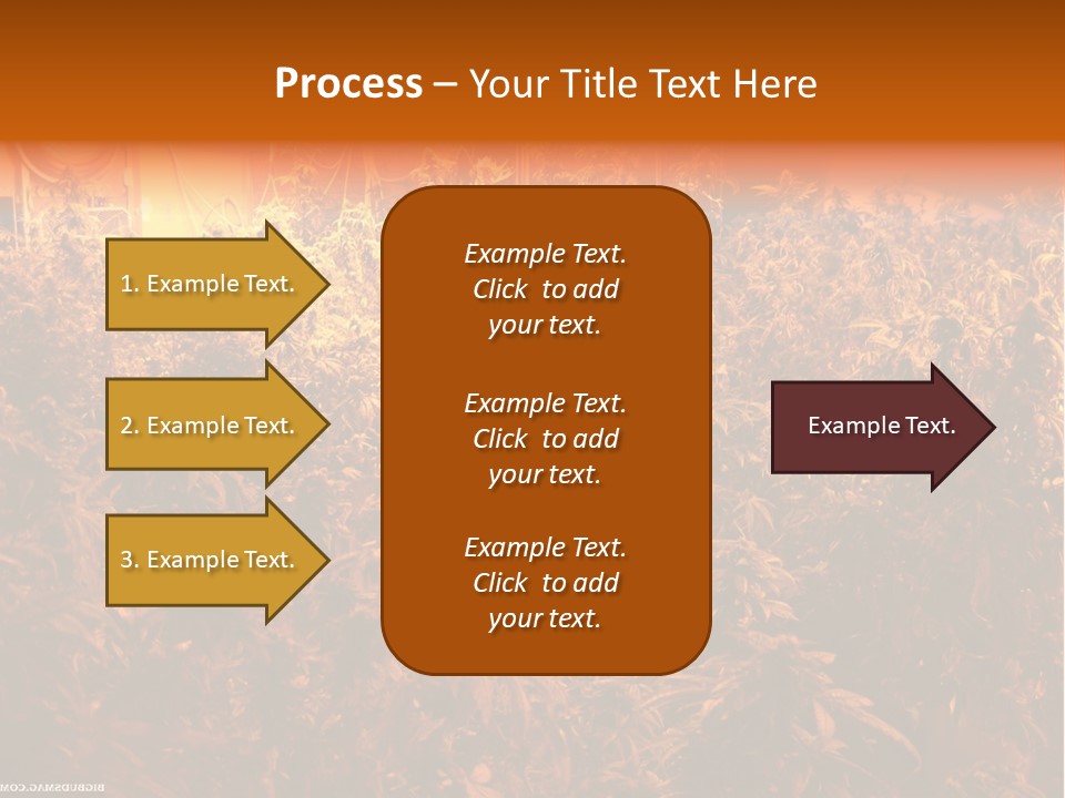 Indoor Hydroponic Medical Cannabis PowerPoint Template