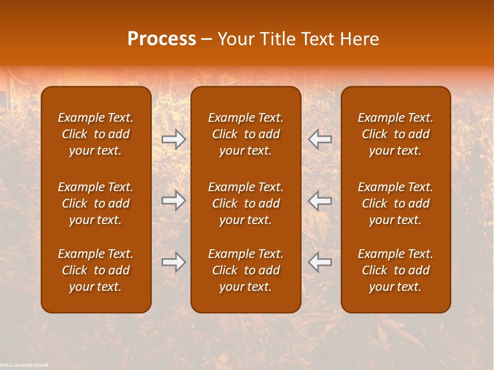 Indoor Hydroponic Medical Cannabis PowerPoint Template
