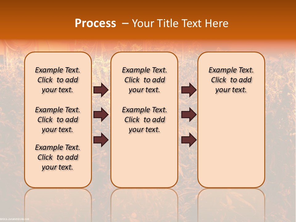 Indoor Hydroponic Medical Cannabis PowerPoint Template