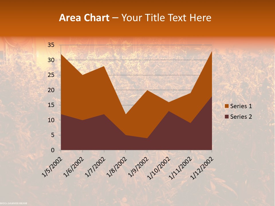 Indoor Hydroponic Medical Cannabis PowerPoint Template