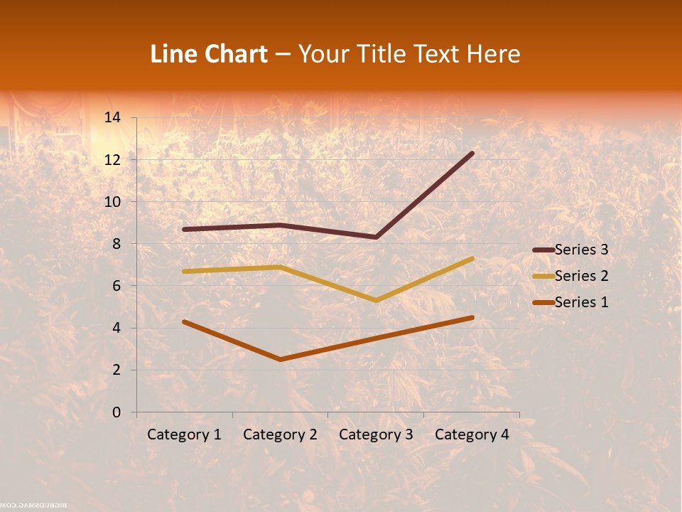 Indoor Hydroponic Medical Cannabis PowerPoint Template