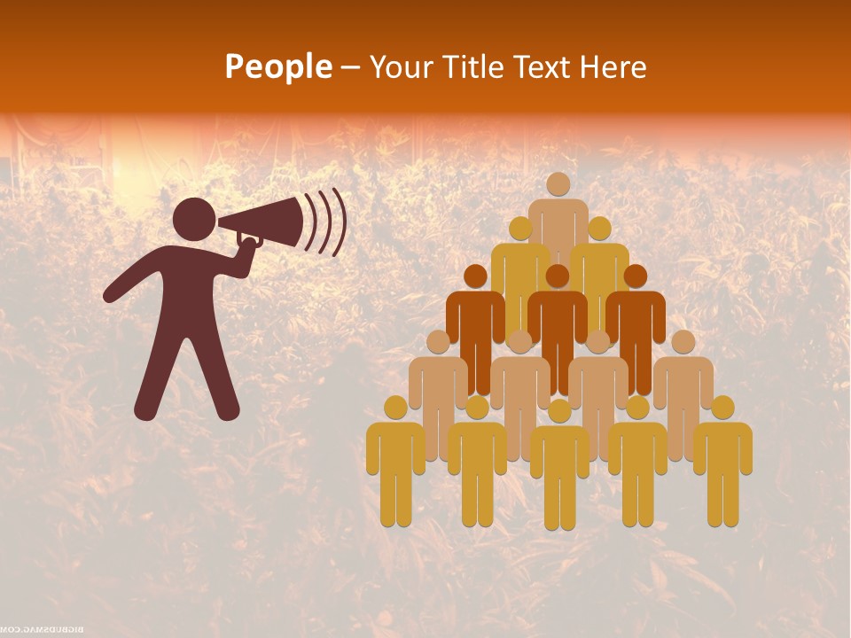 Indoor Hydroponic Medical Cannabis PowerPoint Template