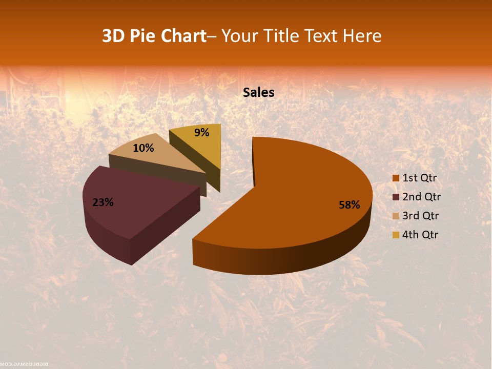 Indoor Hydroponic Medical Cannabis PowerPoint Template