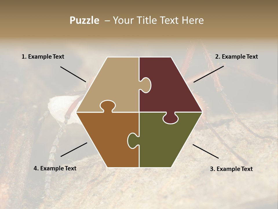 Army Ant Worker Carrying A Larva PowerPoint Template