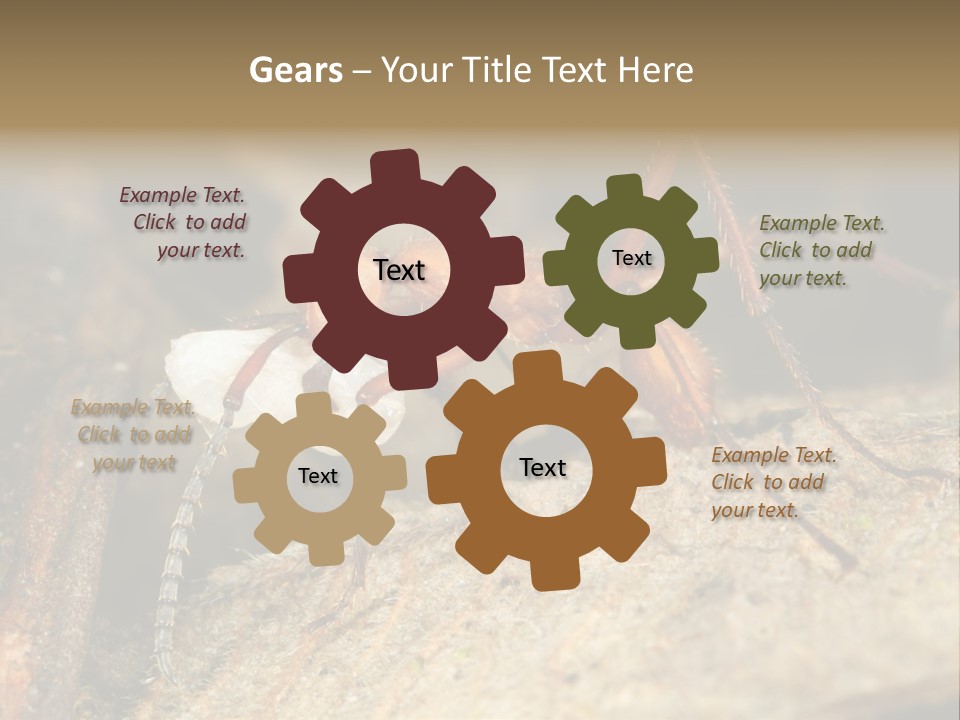 Army Ant Worker Carrying A Larva PowerPoint Template