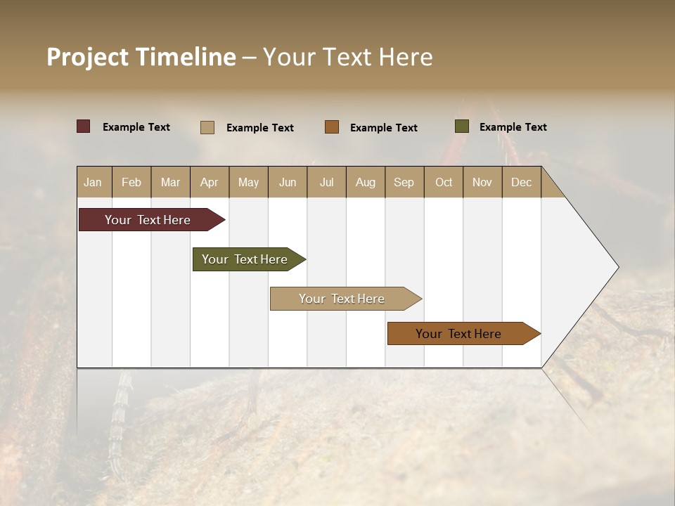 Army Ant Worker Carrying A Larva PowerPoint Template