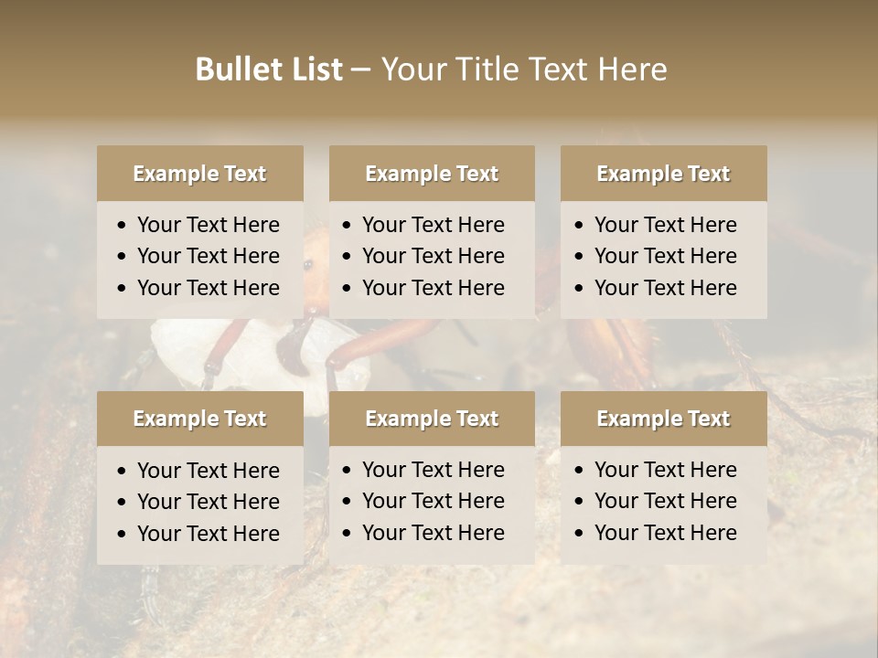 Army Ant Worker Carrying A Larva PowerPoint Template