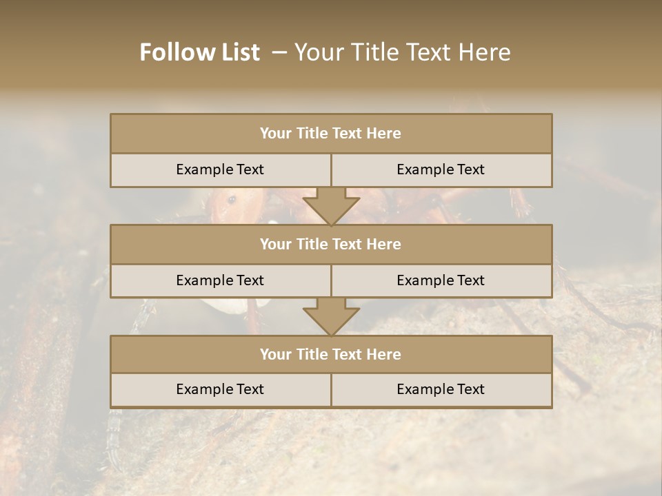 Army Ant Worker Carrying A Larva PowerPoint Template